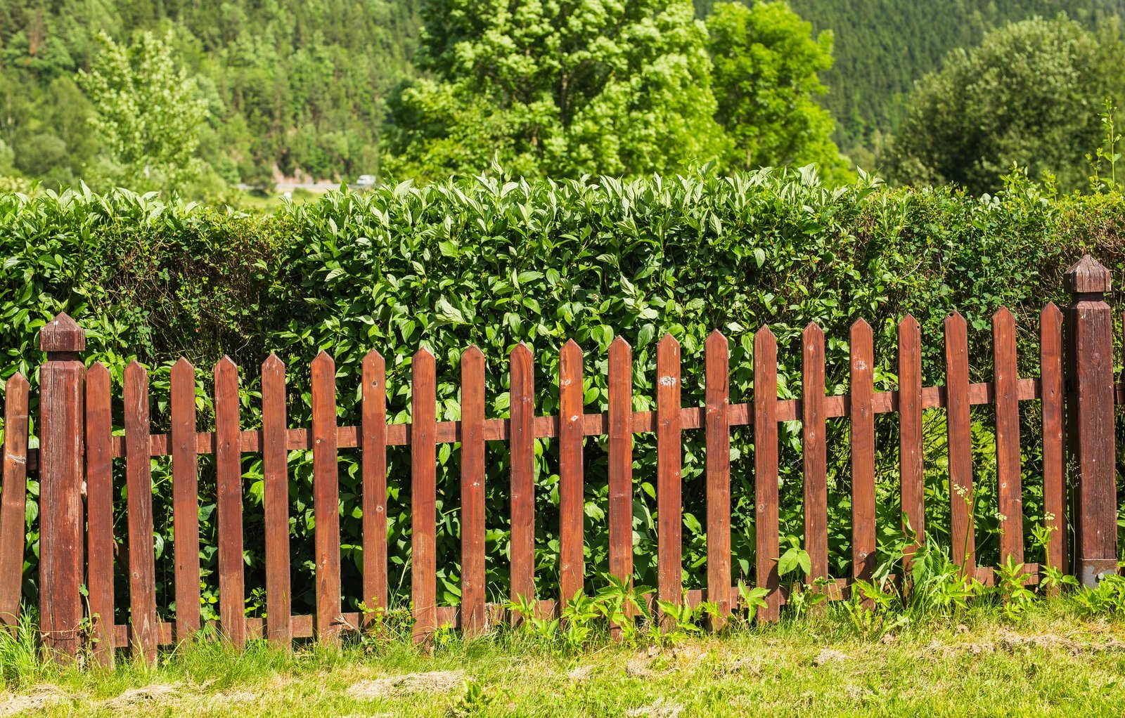 wood fence perspective view